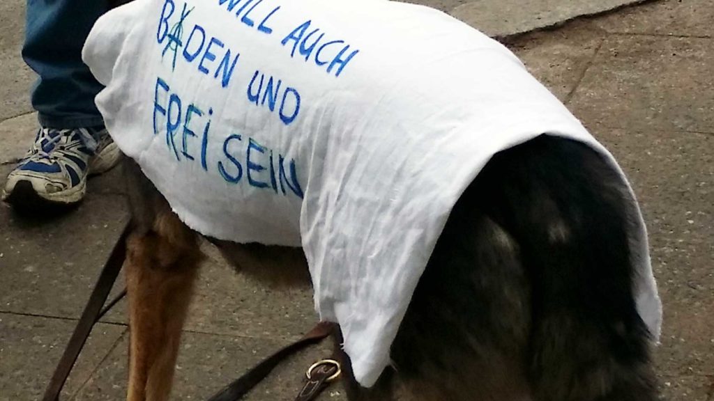 Hund mit dunklem Fell trägt ein weißes Tuch auf dem Rücken mit dem Spruch: Ich will auch baden und frei sein