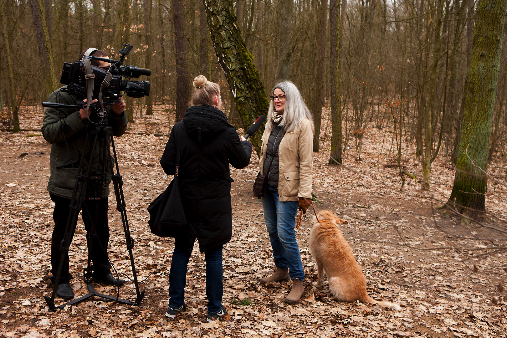 Foto vom Interview mit Beate Fischer, Pressesprecherin der BI Berliner Schnauzen e.V.
